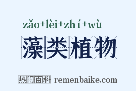 藻类植物是什么意思的图片